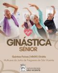 Gin&aacute;stica S&eacute;nior