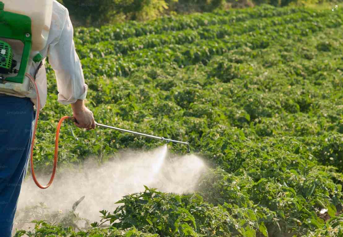 Altera&ccedil;&atilde;o da validade da habilita&ccedil;&atilde;o de aplicador de produtos fitofarmac&ecirc;uticos  